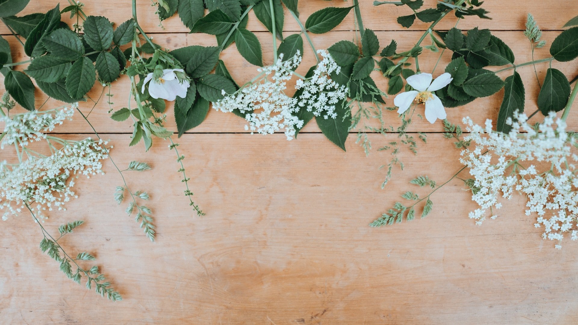 The Top 10 Essential Oils for Relaxation and Stress Relief – A Comprehensive Guide